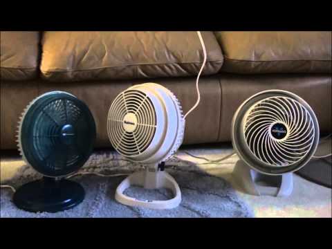 Darren's favorite fans