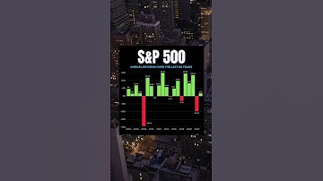 The S&P 500 average annual returns over the last 20 years Will the next 20 years will look similar?