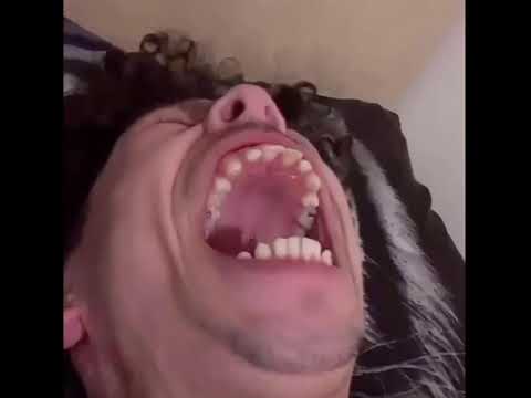 My favorite swear words is (ps2 startup sound)