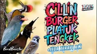 100% CEPAT MASUK!! MASTERAN SATU JALUR   JEDA TERAPI AIR