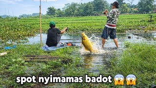 Nyimamas badot bikin olohok ‼️mancing cirata terbaru 