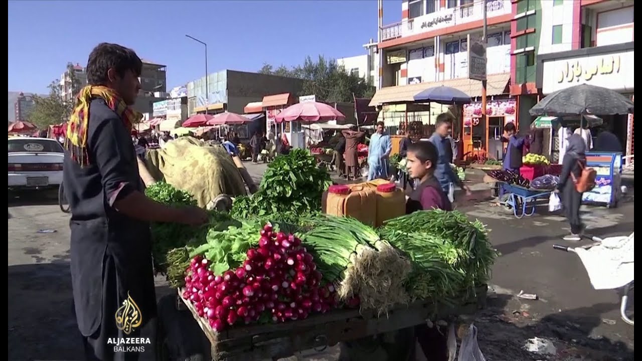 إلى أين يتجه الاقتصاد الأفغاني؟ | الجزيرة العالمية