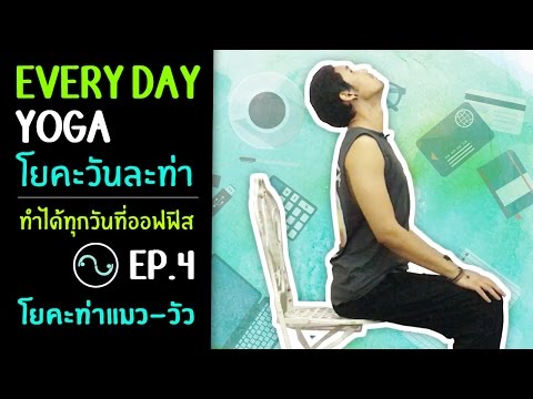#โยคะเบื้องต้น | Everyday Yoga - โยคะวันละท่าที่ออฟฟิศ Ep.4 โยคะท่าแมว-วัว- #kiartyoga