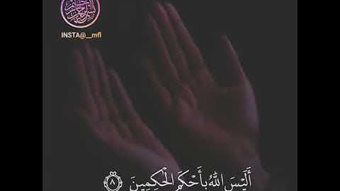 سورة التين بصوت رائع | حنجرة ذهبية