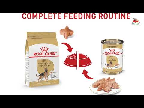 Royal Canin German Shepherd Adult Dry Dog Food Review