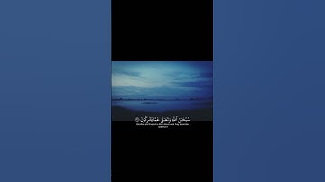 فَأَمَّا مَن تَابَ وَآمَنَ وَعَمِلَ صَالِحًا فَعَسَىٰ||تلاوة خاشعة بصوت الشيخ ياسر الدوسري 💗🌿