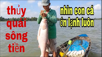 Buồn Ngủ Gặp Chiếu Manh , Săn Loài Thủy Quái Khó Bắt Nhất Sông Tiền # SĂN BẮT ĐỒNG THÁP #