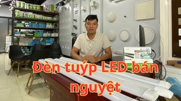 Nên dùng đèn tuýp LED liền máng hay đèn tuýp LED rời máng???