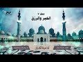 سلسلة أدعية القرآن الخير و الرزق الشيخ عمرو الدريني