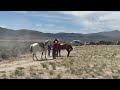 Pony Express reenactment at California Trail Days