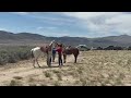 Pony Express reenactment at California Trail Days