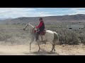 Pony Express reenactment at California Trail Days