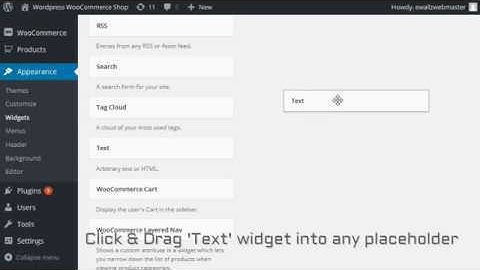 How to add Tawk.to Webchat script in Wordpress