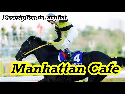 GⅠ hunter with 100% win rate - Manhattan Cafe(マンハッタンカフェ)