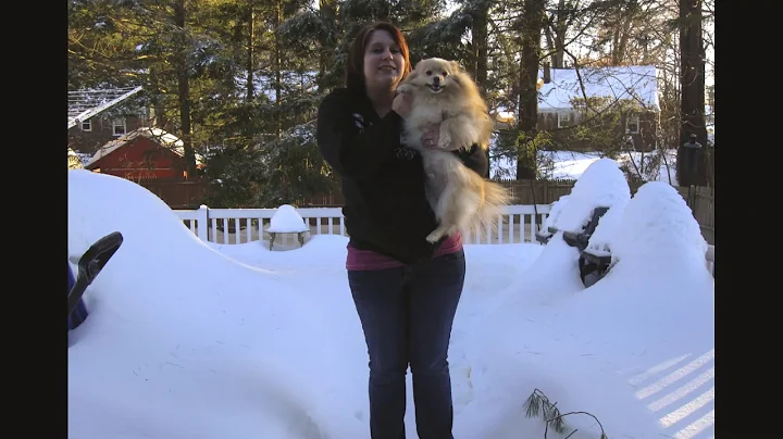 Snowy memories