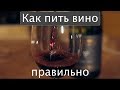 Как правильно пить ВИНО! Дегустация вин в Канада.