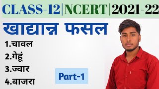 Khadyan Fasal @ खाद्यान्न फसल| खाद्यान्न फसलों के नाम|Class-12|Book-2|भारत लोग और अर्थव्यवस्था