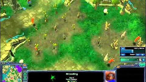 [Starcraft 2] Aiur Chef Custom Map Episode #2