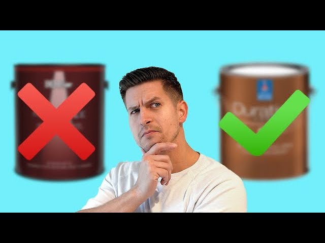 Which Paint Should You Choose?