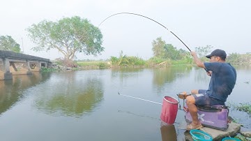 Câu Cá Ký Sự - Câu Cá Diếc Đầu Mùa Toàn Hàng Khủng