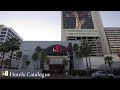 The D Hotel Las Vegas - Hotel Tour - YouTube