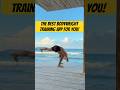 LeoMoves App Workouts for Every Fitness Level