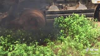 ឡានជាប់ផុង