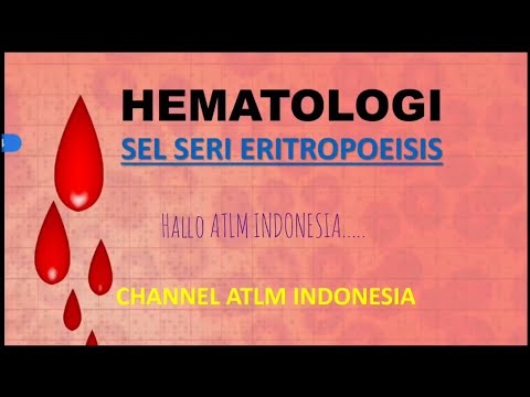 Video: Di mana eritropoiesis terjadi pada orang dewasa?