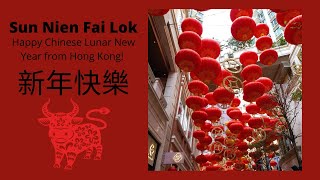 HAPPY CHINESE LUNAR NEW YEAR from Hong Kong!! It&#39;s the Year of the Ox. Sun Nien Fai Lok!