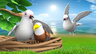 শকুনের মা কবুতর - Vulture&#39;s Mother Pigeon | 3D Animated Bangla Moral Stories | JOJO TV Fairy Tales