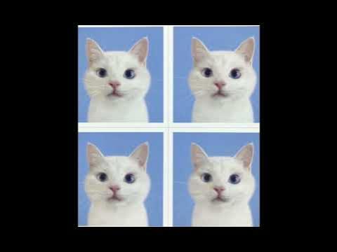 мысык - YouTube