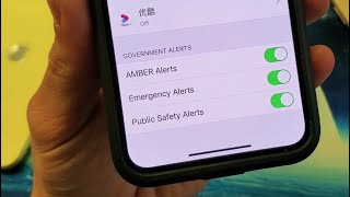 iPhone X/XS/XR/11: How to Turn Off/On Government Alerts (Amber Alerts, Emergency Alerts, etc)