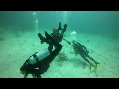 Finolhu Faru - Underwater Fun