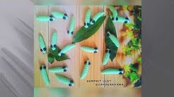 Resep Membuat Kue kering Ulat (caterpillar cookies) - Durasi: 1.26. 