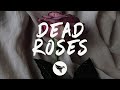 Ollie - Dead Roses (Lyrics)