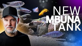 How To Setup a 75 Gallon MBUNA Tank | Live Fish Direct UNBOXING
