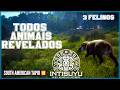 ANALISANDO OS ANIMAIS DO NOVO MAPA NO PERU, 3 Felinos, The Hunter Call of the Wild