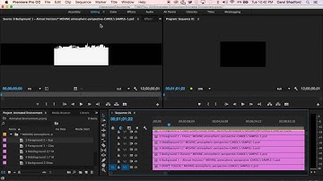 Animated Environment: Motion Tween with Effects Control in Premiere