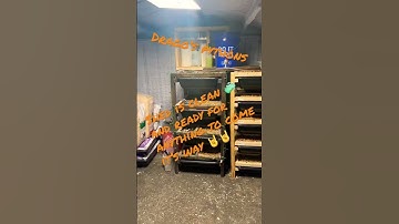 Rat 🐀 shed #livefeeding #subscribe #python #ballpython #breeding #snake #rat #reptile