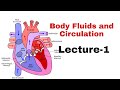 Body fluids and circulation lecture1