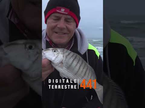 Surfcasting Academy