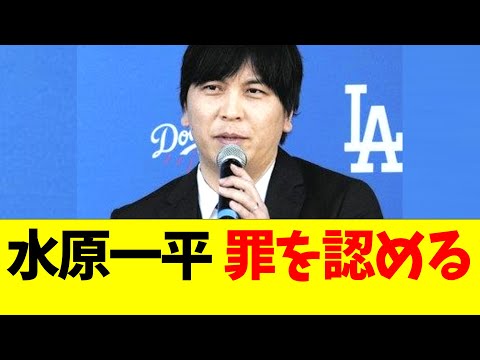 水原一平、違法賭博の罪を認める