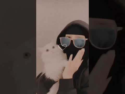ما لا اشبه على مر الزمان