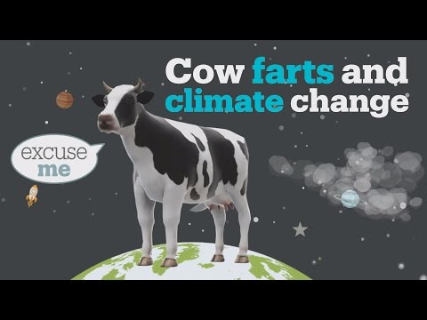 Cow farts and climate change