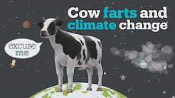 Cow farts and climate change