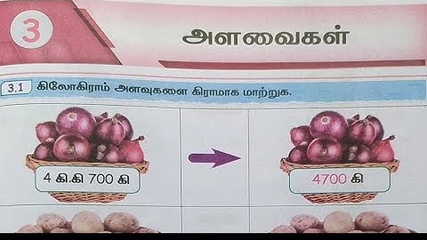 EE 5th std maths term 2 unit 3 workbook answers tamil medium | 5th std maths workbook answers