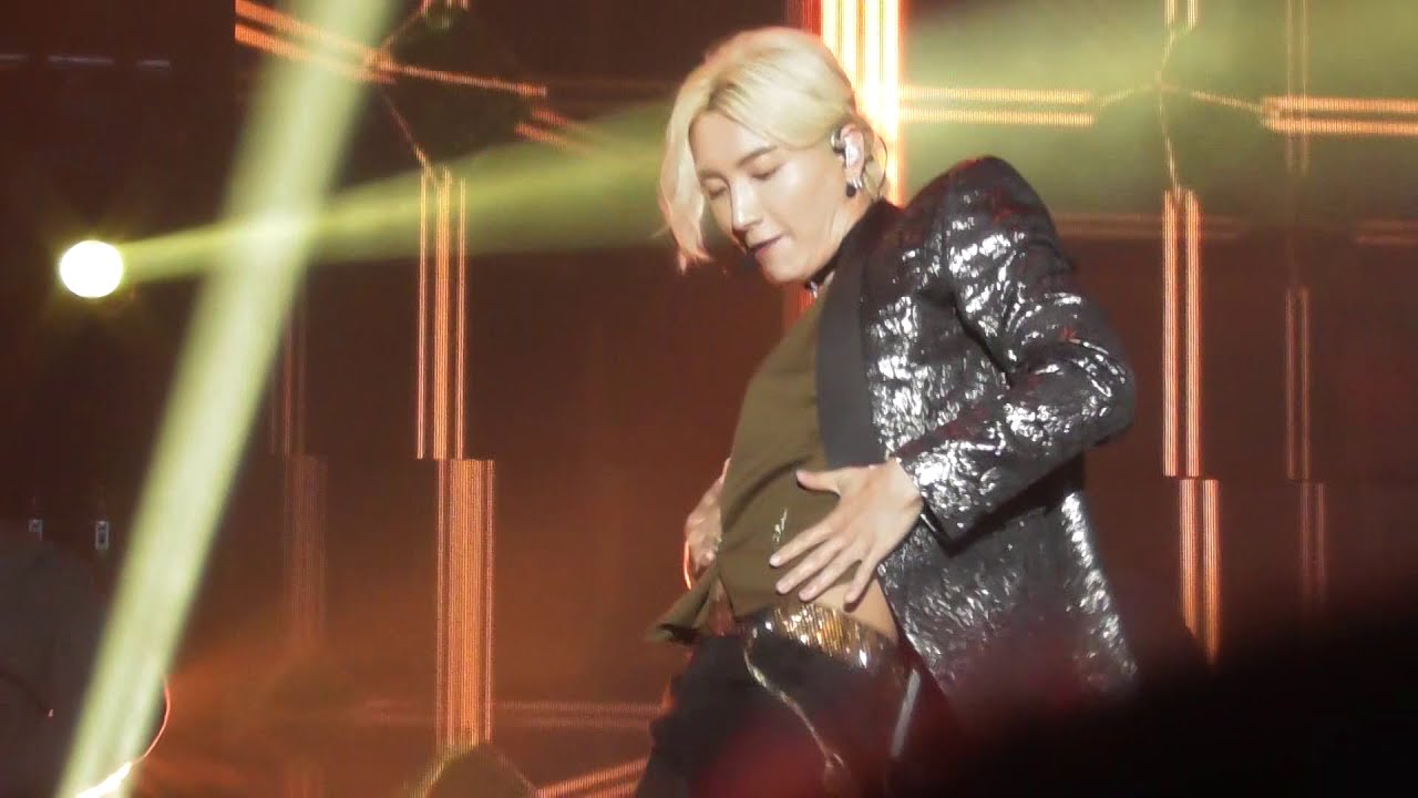 [FANCAM] 190921 KFLOW2 Superjunior 『U』Leeteuk focus