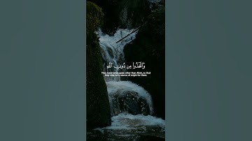 ماهر المعيقلي - سورة مريم #quran #allah #الحمدلله #قرآن #allahuakbar #لا_اله_الا_الله