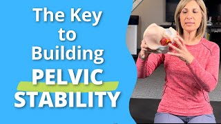 The Key to Building Pelvic Stability #pelvicfloordysfunction #pelvicfloorexercise #pelvicfloorhealth