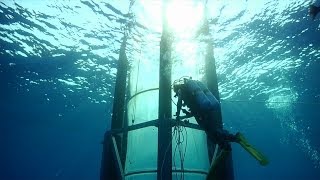 Largest ever private award to UH funds microbial oceanography research